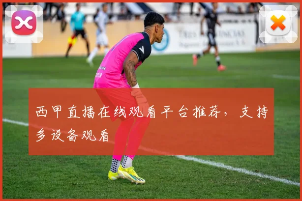 西甲直播在线观看平台推荐，支持多设备观看