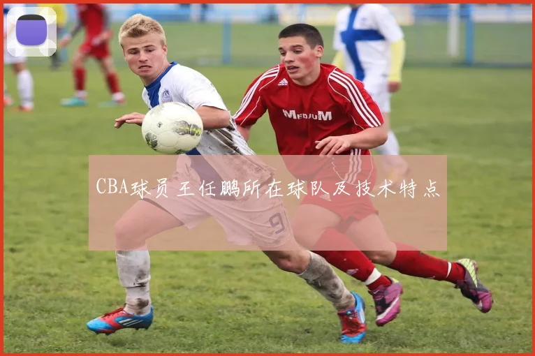 CBA球员王任鹏所在球队及技术特点