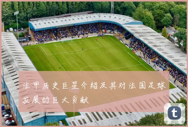 法甲历史巨星介绍及其对法国足球发展的巨大贡献